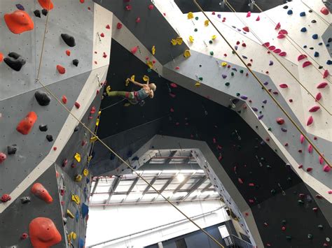 Best climbing gyms sydney. .  ...