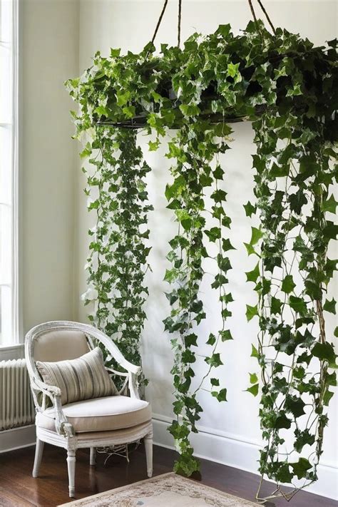 Best climbing plants indoor.  These Their versatility is endless.  Vines E...