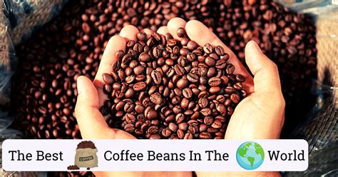 Best coffee beans in the world. Brazil is the world's largest producer of coffee. In 2014, Brazil exported 45 million 60-kilogram bags of coffee beans — two times the export of the entire African continent. What makes it stand apart? Brazilian coffee is known for its creamy body and low acidity, and it also boasts some chocolate and caramel notes. 