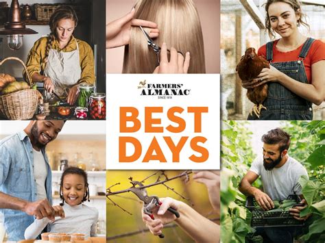 Best days farmers almanac. These activities became connected with the position of Moon and the Sun. It is believed that the Moon has greater force during certain parts of the cycle and less powerful at other times. Thus in early almanacs and continued today is a Best Days Calendar. This is found on our website and a longer listing in the Farmers’ Almanac … 