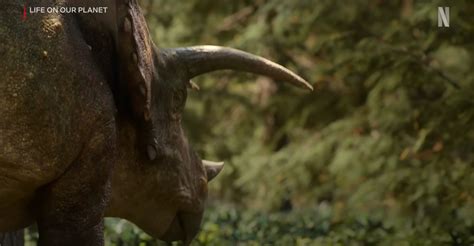 Best dinosaur documentaries.  Netflix&rsquo;s documentary division had a massive 2025, ...