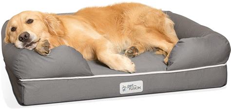 Best dog beds: 7 of the comfiest picks for your pooch