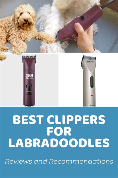 Best dog clipper for doodles. Things To Know About Best dog clipper for doodles. 