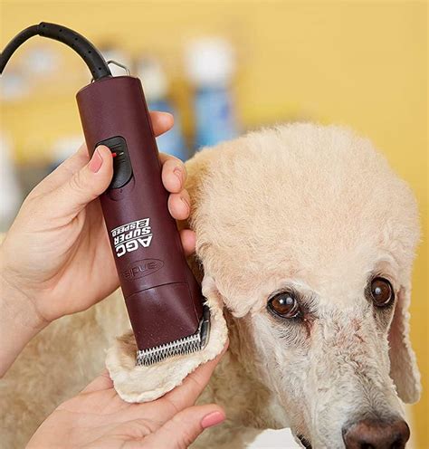 Best dog clippers for poodles. Things To Know About Best dog clippers for poodles. 