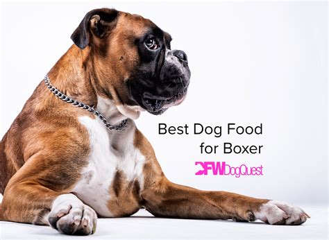 Best dog food for boxers. Deciding to make your own dog food at home brings excitement and challenge at the same time. You get the chance to take a more personalized approach to providing the food that your... 