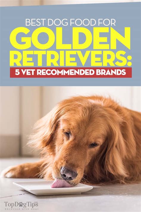 Best dog food for golden retrievers. The bottom line is that the Blue Buffalo Protection formula is one of the best dog foods for Golden Retrievers as it contains a good quantity of meat and carbohydrates which are perfect for an active Goldy. 2. Taste of The Wild Pacific Stream Dog Food. Often golden retrievers are seen with a dull and scraggly coat, and it’s a travesty. 
