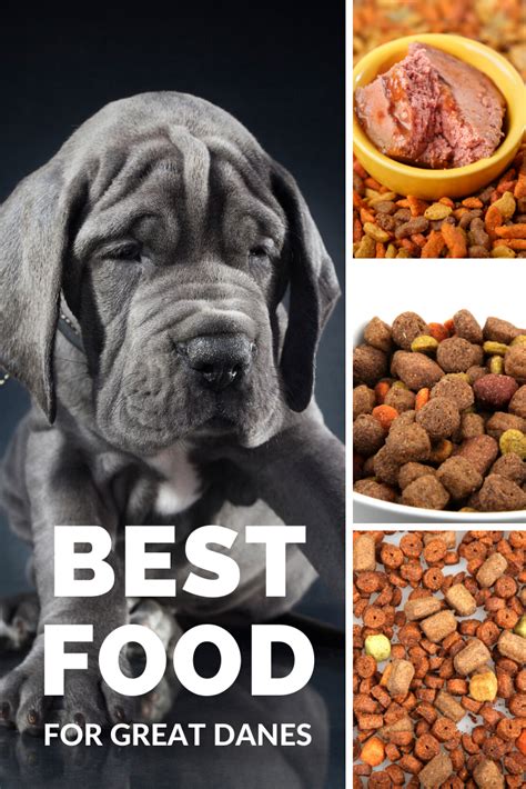 Best dog food for great danes. Best Dog Food for Great Danes Puppies: Dry & Canned #1 Diamond Naturals Real Meat Recipe Premium Dry Dog Food Breed Size Specific. Catering to the dietary needs of a puppy is hard enough; catering to the needs of a large breed pup is even trickier.. Fortunately, Diamond Naturals have come up with a solution; a specially … 