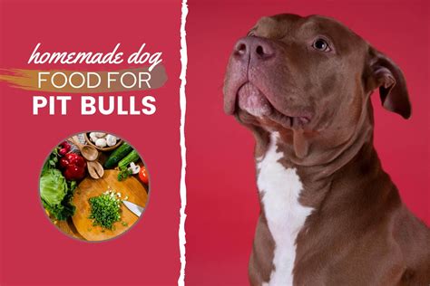 Best dog food for pit bulls. Things To Know About Best dog food for pit bulls. 