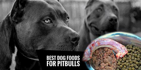 Best dog food for pitbulls. When it comes to choosing the best Dog Foods For Pitbulls, you have to be very careful in terms of their health needs. Pitbulls require a high amount of energy and stamina and for that, you must provide them with high nutritive foods. Their muscle development is a must when it comes to feeding a pitbull. 