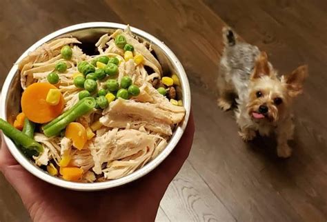 Best dog food for yorkies. Deciding to make your own dog food at home brings excitement and challenge at the same time. You get the chance to take a more personalized approach to providing the food that your... 