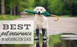 Best dog insurance washington state. Things To Know About Best dog insurance washington state. 