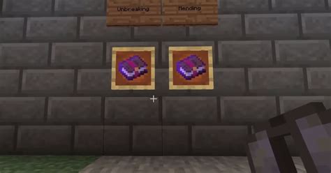 No related photos. In Minecraft, you can enchant the elytra with a number of different enchantments. Each enchantment has a name and ID value assigned to it. You can use. 