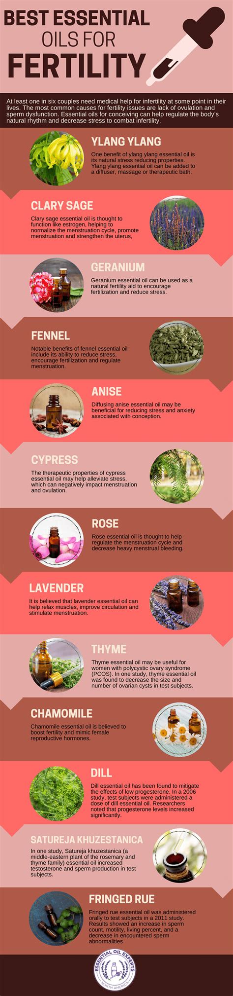 Best essential oils for fertility.  In your example "experienced" is the ...