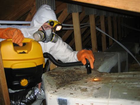 Best exterminator near me. Things To Know About Best exterminator near me. 