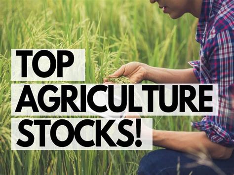 Today, most agriculture stocks pay a dividend and offer good 