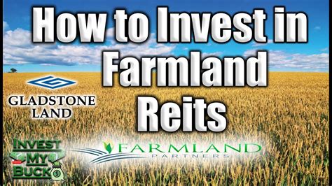 As a result, timber and farmland REITs have been two of the best-perf