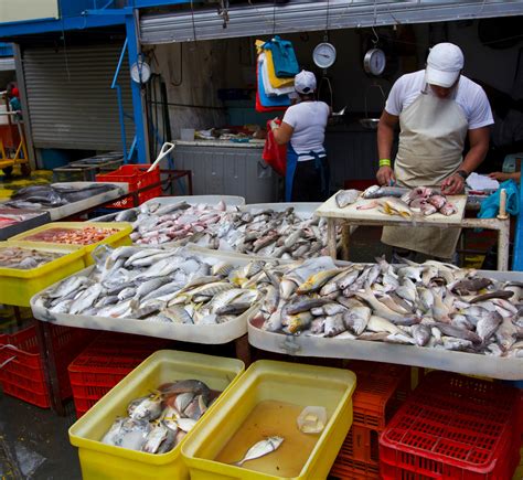 Best fish market near me. Raw fish preparations like sashimi, gravlax, and crudo may seem like something you should only trust the professionals with but, if you know your stuff, you can actually buy, prepa... 