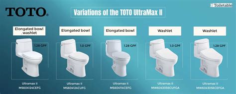 Best flush objects.  We reviewed the most powerful and effective flushing toile...