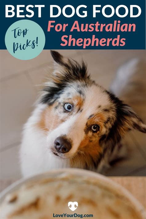Best food for australian shepherd. The best wet food for Australian Shepherd puppies is one that is specifically formulated for their age and meets their nutritional requirements. Look for a wet food that contains high-quality protein, essential vitamins and minerals, and no artificial preservatives or fillers. Some popular brands that are recommended for Australian Shepherd ... 