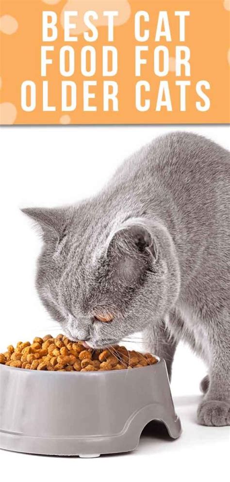 Best food for elderly cats. Top rated senior cat foods based on our customer reviews include: Hill's Science Diet Adult 7+ Hairball Control Dry Cat Food. Royal Canin Senior Ageing 12+ Dry Cat Food. Royal Canin Senior Ageing 12+ Gravy Wet Cat Food Pouches. Royal Canin Indoor 7+ Dry Cat Food. 