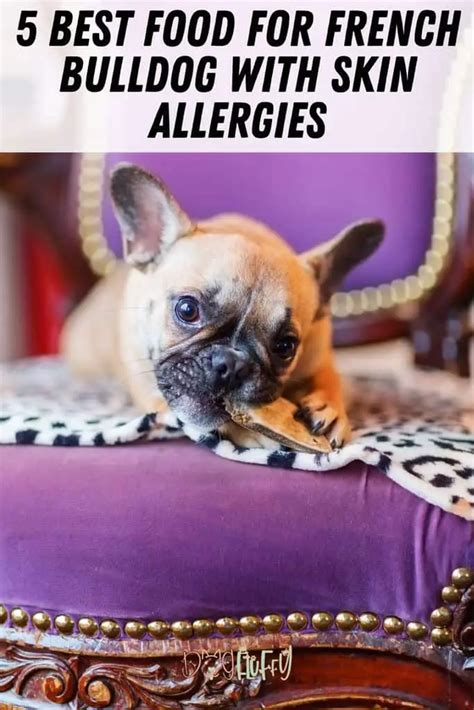 Best food for french bulldog with skin allergies. 18-Jan-2017 ... These are both completely grain free and suitable for sensitive skin. For adult dogs, we would recommend the Adult Sensitive range selection, in ... 