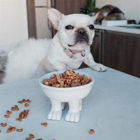 Best food for frenchies. Check out the article: Best Food For French Bulldog With Sensitive Stomach – 8 Great Options at Frenchiejourney.com to find the best hypoallergenic Frenchie food on the market. You can also try preparing homemade dog food recipes to control what gets into your Frenchie’s bowl. 