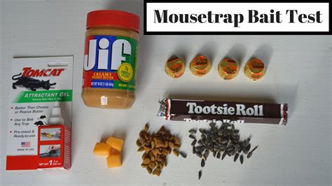 Best food for mouse trap. Chocolate. Mice have a sweet tooth, and chocolate can be a tempting treat for them. Small pieces of chocolate or chocolate chips can serve as an attractive bait. Dark … 