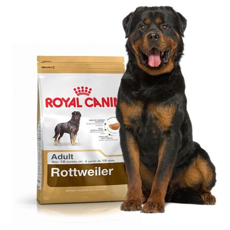 Best food for rottweiler. Another dog food Rottweiler owners seem to be pretty happy with is Taste of the Wild Roasted Fowl. One of the best things about this dog food is that it contains an unusually large amount of protein - 32%. That is not something other dog foods can boast with. That means this is an ideal pick for very active and working Rotties. 