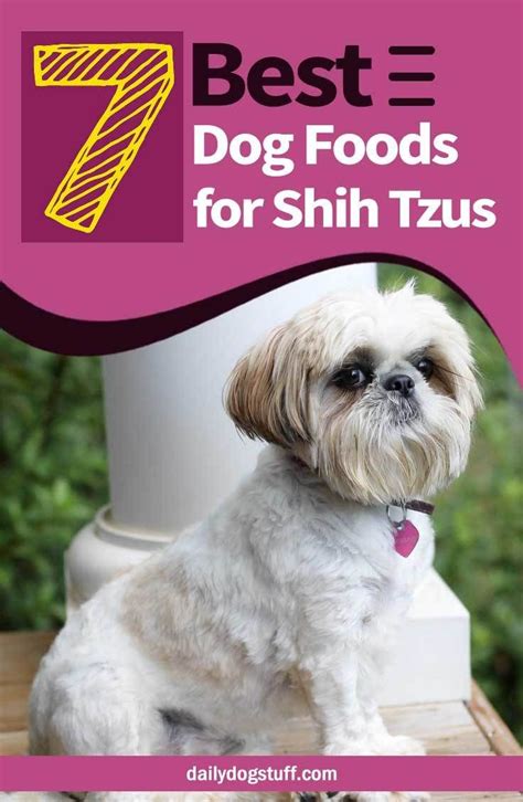 Best food for shih tzu. For one with healthy-grains: Wellness Complete Health for Small Breeds . This has a base of turkey and oatmeal, both which are generally very easy on the tummy. 