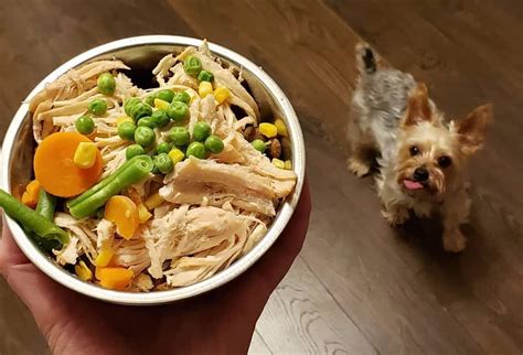 Best food for yorkie puppy. Things To Know About Best food for yorkie puppy. 