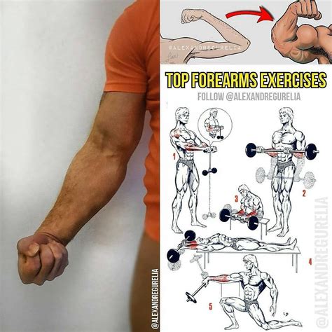Best forearm workouts. Mine took off when doing heavy back workouts and heavy biceps workouts. A big reason is that I decided to lose the straps for good. So when doing deadlifts, I forced my forearms to get stronger/bigger by … 