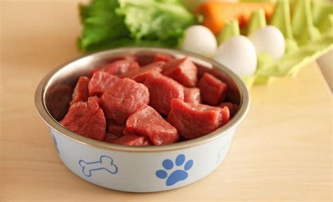Best fresh dog foods. Save. We’re inundated with different types of pet food: kibble, raw, freeze-dried, grain-free, pâté, and more. The choices can be overwhelming, and … 