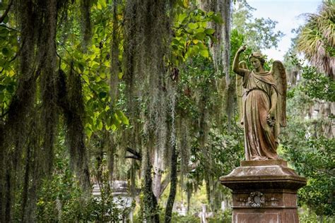 Best ghost tours in savannah ga. Things To Know About Best ghost tours in savannah ga. 