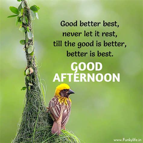 Best Positive Good Afternoon Quotes. Pin. The afternoon is a great time for reflection and for resetting for the rest of the day. Oprah Winfrey. Pin. The late afternoon sunlight, ….