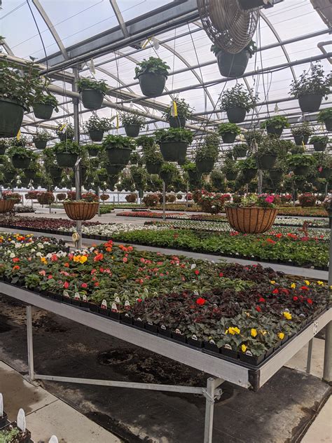 Best greenhouses in wisconsin. Canterbury Farm & Greenhouses, Green Bay, Wisconsin. 725 likes · 19 talking about this · 133 were here. Your location for planting needs. Nine greenhouses filled with a wide variety of plants. 