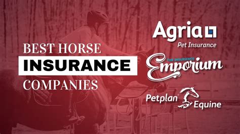 Best horse insurance companies. Our horse vet fee insurance policy starts at £91.80 per year or just £7.65 per month. This premium is inclusive of Insurance Premium Tax at 12.00% and a £19.00 administration fee. Additional cover is available for an extra fee as listed below: Get a … 