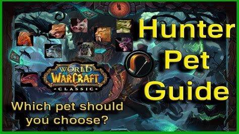 The best endgame Hunter pets in WoW Classic are Bloodaxe Worg (Wolf), Broken Tooth (Cat), and the Son of Hakkar (Wind Serpent). Once you hit the endgame in Classic WoW, your options for Hunter.... 