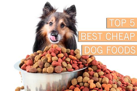 Best inexpensive dog food. 