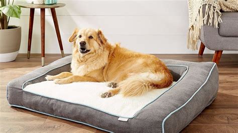 Best large dog bed PetsRadar