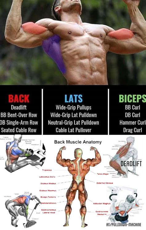 Best lat exercises. Things To Know About Best lat exercises. 