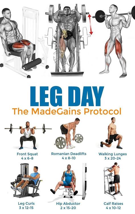 Best leg day exercises for beginners to develop legs 