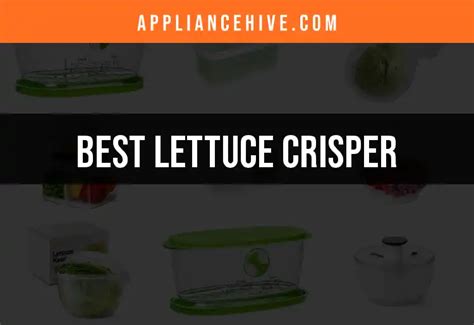 Best lettuce crisper.  1.  Dry the Lettuce Well Water dilutes dressing.  Aft...