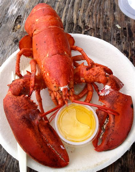 Best lobster. The Travelin Lobster. Claimed. Review. Save. Share. 691 reviews #1 of 86 Restaurants in Bar Harbor $$ - $$$ American Seafood … 