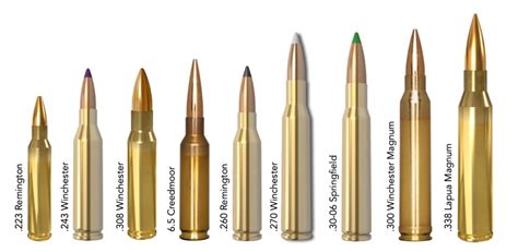 Best long range calibers. For the Recoil-Sensitive: .243 Winchester. There's a reason the .243 Winchester has taken down more youth-season whitetails than (probably) any other cartridge. The .243 throws bullets in the 70- to 100-grain range a very respectable 3,000 feet-per-second. That's enough power to take down a whitetail in a hurry, but in most deer guns ... 
