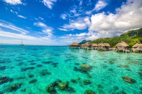 Best month to visit tahiti. Accommodation. Best time to visit. Although the South Pacific is hot and humid most of the year with warm seas and clear skies, the best time to visit is generally between April and November when the weather is driest. The exception to this is French Polynesia, where the peak season is shorter and runs from June to August. 
