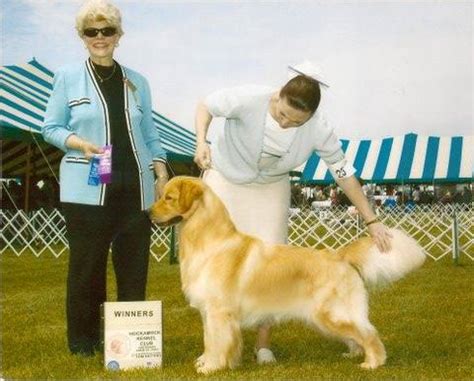 Best of Breed East Granby CT - Facebook