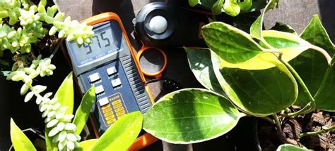 Best par meter for led grow lights.  In your example "experienced" is the pas...