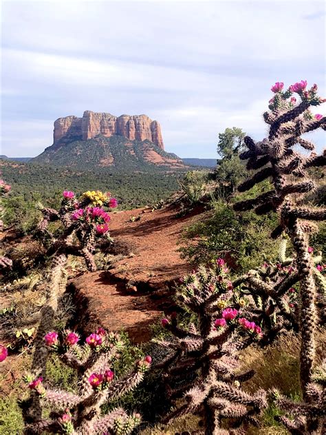 Best parks in Sedona - Lonely Planet