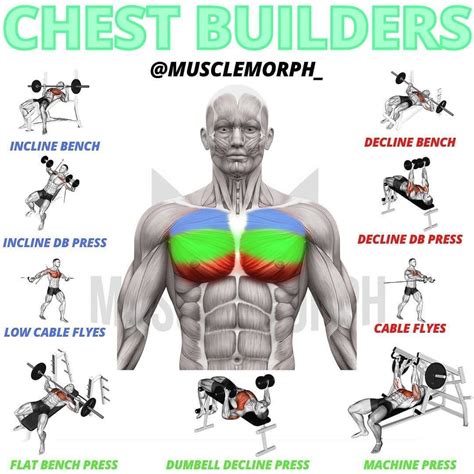 Best pec routine. Things To Know About Best pec routine. 