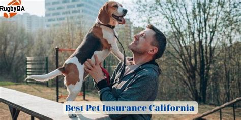 Best pet insurance california. Things To Know About Best pet insurance california. 